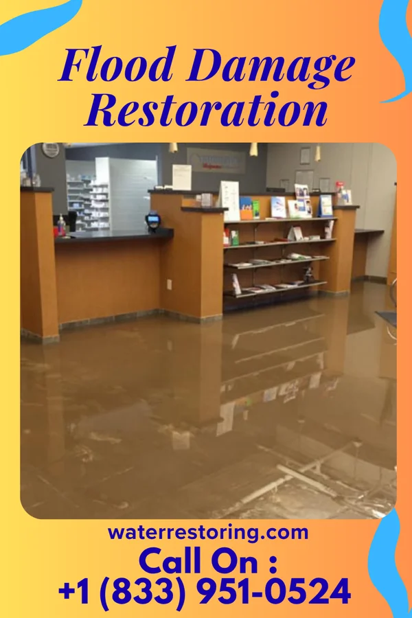 Flood Damage Restoration in Druid Hills, KY