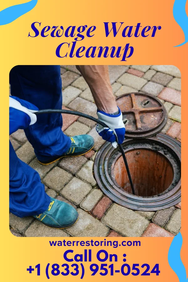 Sewage Water Cleanup in Druid Hills, KY