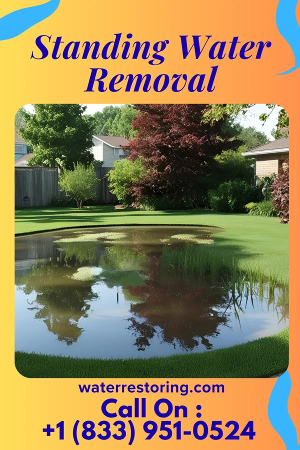 Standing Water Removal in Druid Hills, KY